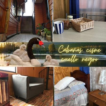 Cabanas Cisne Cuello Negro Apartment Valdivia Exterior foto